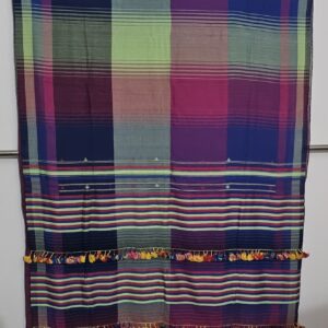 Bhujodi Kala Cotton Multicolor Handloom Saree with handcrafted embroidery designs