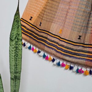 Multicolor Kutch Bhujodi Weave Handloom Cotton Stole